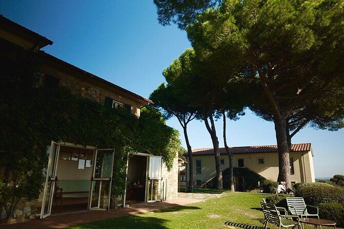 hidden-tuscany-day-trip-with-lunch-and-wine-tastings-from-rome