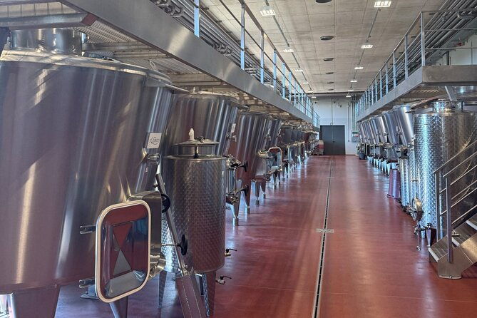 hidden-tuscany-day-trip-with-lunch-and-wine-tastings-from-rome