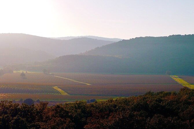 hidden-tuscany-day-trip-with-lunch-and-wine-tastings-from-rome