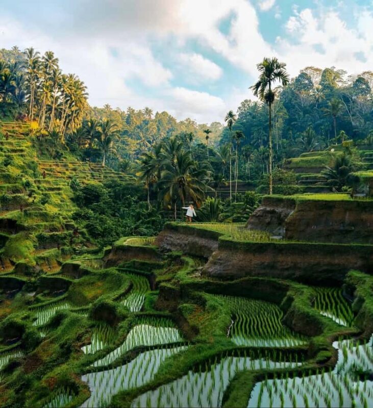 Hidden Ubud All-inclusive: Temple, Waterfalls & Jungle Swing - Who Will Love This Experience?