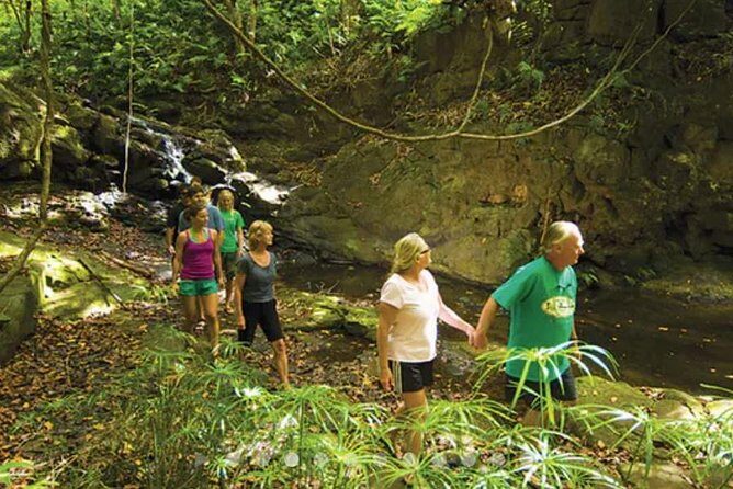 Hidden Valley Falls Kayak and Kauai Hike Adventure - Frequently Asked Questions