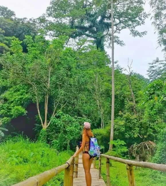 Hidden Valley Springs Alaminos with Lunch - Waterfalls & Additional Pools