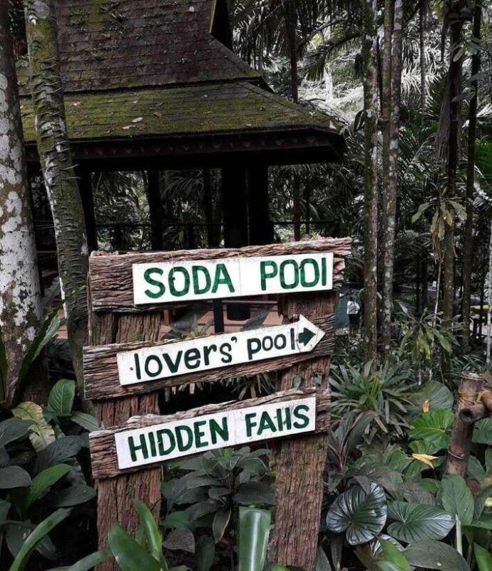 hidden-valley-springs-alaminos-with-lunch