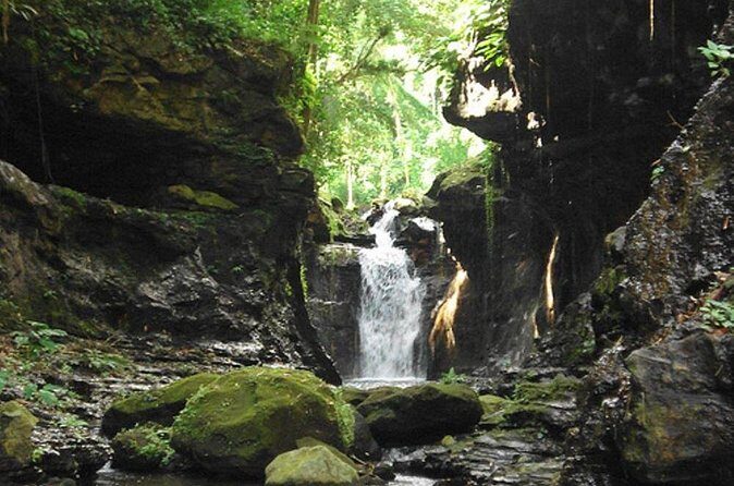 Hidden Valley Springs with Lunch from Manila - The Itinerary in Detail