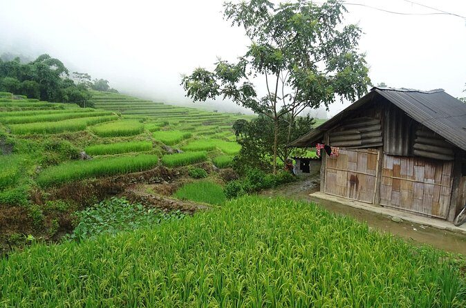 Hidden Villages Trekking to Hau Thao, Hang Da, and Sa Seng - The Sum Up
