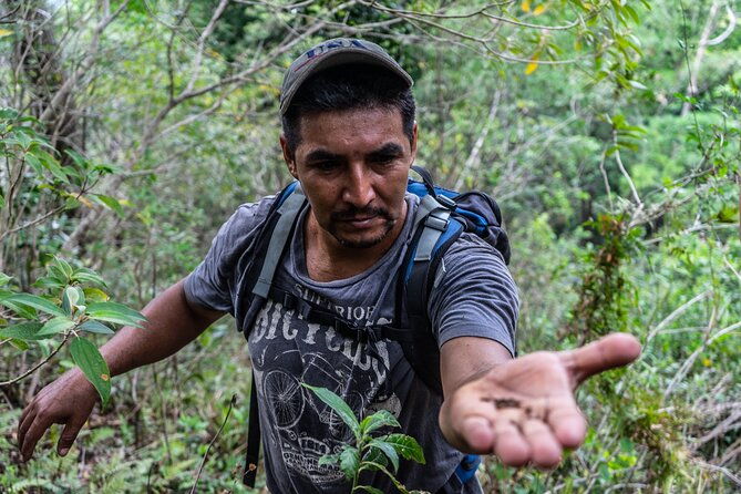 hidden-waterfall-guided-tour-in-el-imposible-national-park