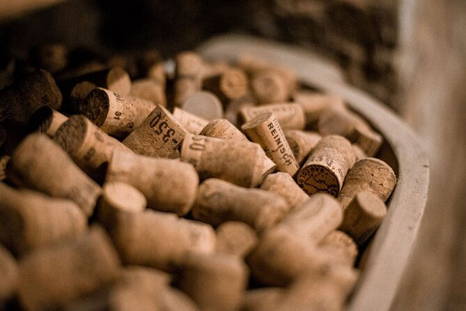 hidden-wine-cellars-vienna-on-the-tracks-of-the-viennese-wines