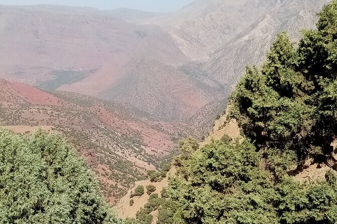 High Atlas Adventure: Discover Ourika Valley and Berber Culture - Who Is This Tour Best For?