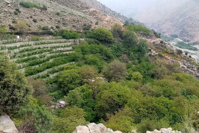 High Atlas Adventure: Discover Ourika Valley and Berber Culture - The Sum Up