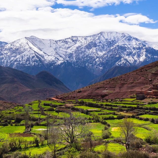 High Atlas Mountains and 5 Valleys Day Trip from Marrakech - Final Thoughts: Who Should Consider This Tour?