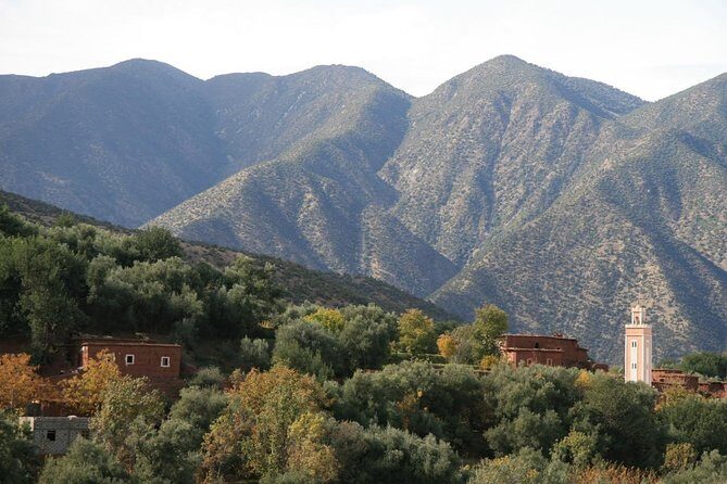 High Atlas Mountains and Desert Day Tour from Marrakech - Key Points