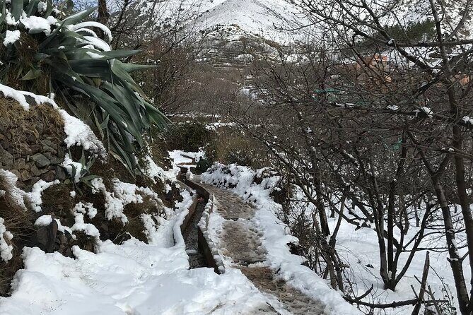 High Atlas Mountains Day Trip and Camel Trek - Exploring the Details of the Tour