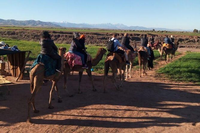 High Atlas Mountains Day Trip and Camel Trek - The Sum Up