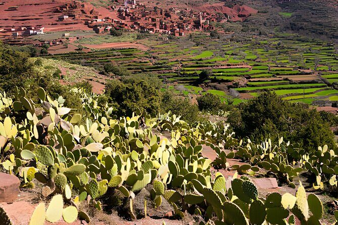High Atlas Mountains Day Visit " Ourika Valley & Setti Fatma" - What Makes This Tour Stand Out