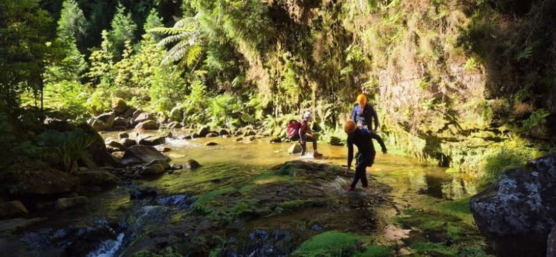High Canyoning: Medium-High Level Canyoning Tour - Key Points  