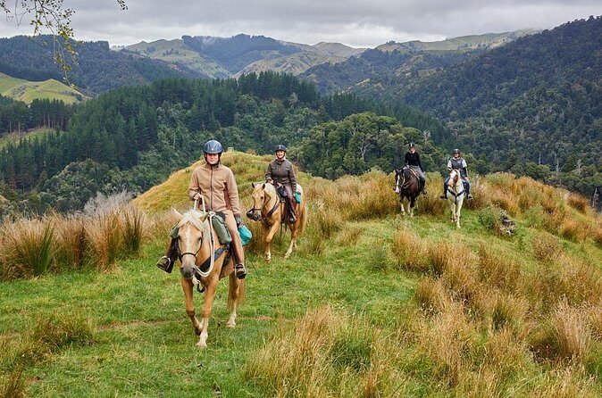 High Country Enchantment Full-Day Horse Trek - Final Thoughts: Is This Tour Worth It?