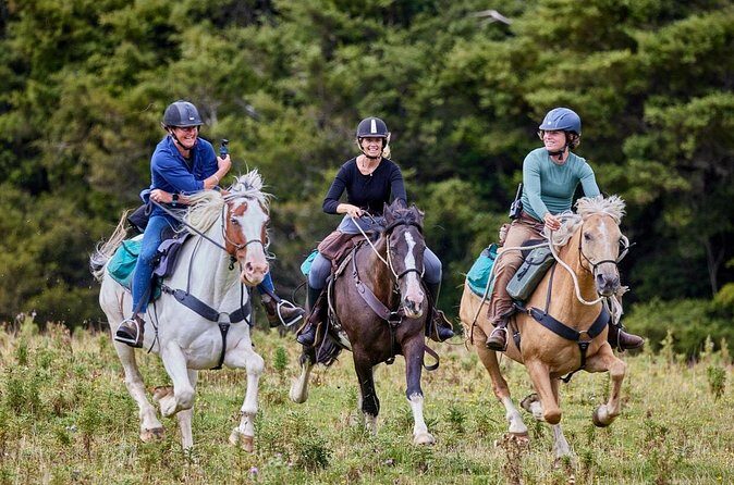 High Country Enchantment Full-Day Horse Trek - FAQ