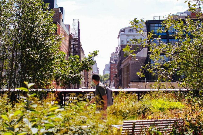 high-line-and-chelsea-small-group-tour