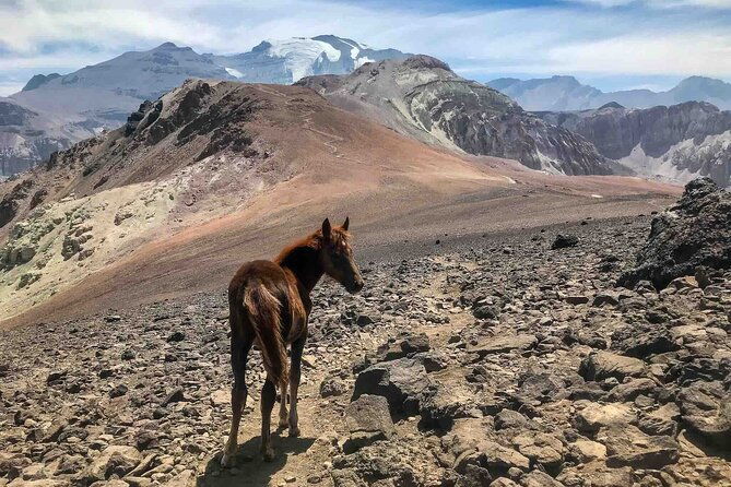 high-mountain-adventure-full-day-private-tour-from-santiago