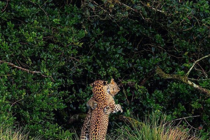 High recommended multi-day customizable Sri Lanka tours - Starting in Negombo: Relax and Get Ready