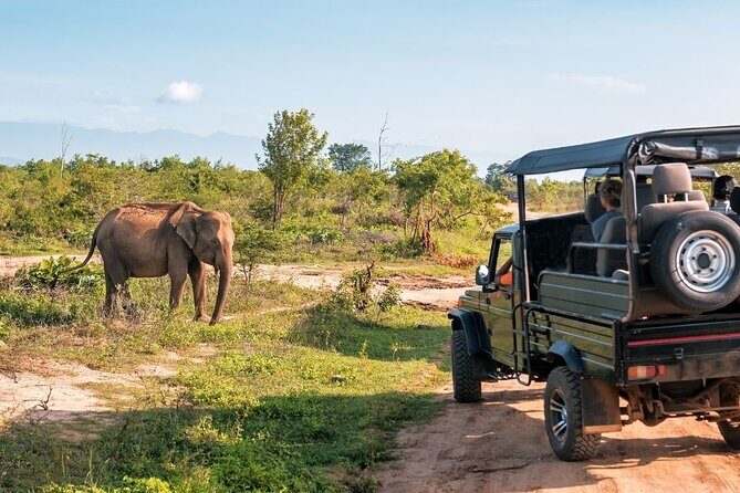 High recommended multi-day customizable Sri Lanka tours - Day 4 & 5: Cultural Stop in Kandy & Scenic Drive to Nuwara Eliya