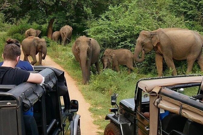 High recommended multi-day customizable Sri Lanka tours - Day 7: Yala Safari and Ravana Falls