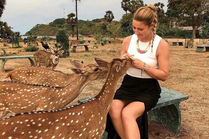 High recommended multi-day customizable Sri Lanka tours - Day 9: Galle & Madu River Safari