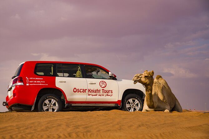 High Red Dunes with Camel Ride, Sandboarding, Falcon Show and VIP BBQ Dinner - Final Thoughts: Is This Tour Worth It?