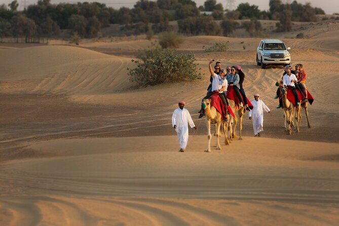 High Red Dunes with Camel Ride, Sandboarding, Falcon Show and VIP BBQ Dinner - To sum it up...