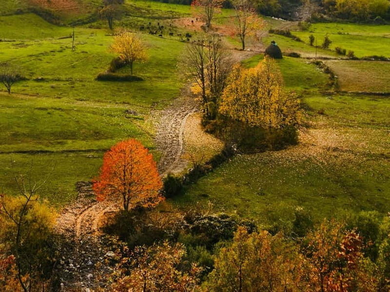 High Scardus Trail: 7 Days guided tour in the Albanian Part - The Experience on the Ground: Authenticity and Adventure