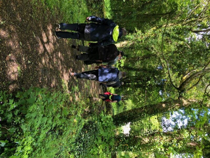 high-speed-scenic-boat-trip-on-lough-corrib