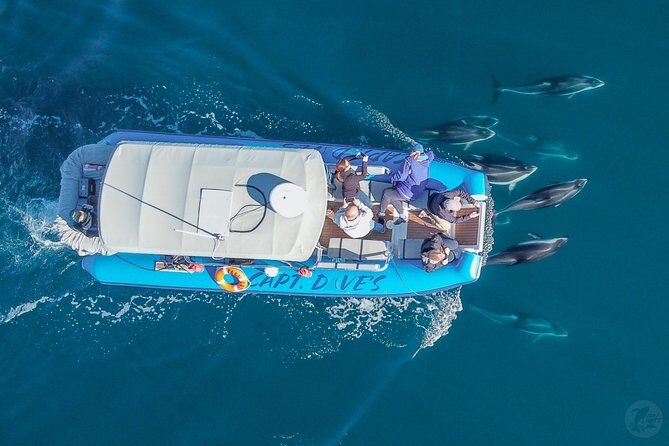 High Speed Zodiac Whale Watching Safari from Dana Point - Food, Beverages, and Onboard Comfort