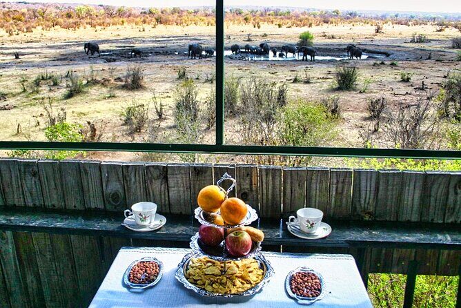 High Tea in the Savannah, Catering by Victoria Falls Hotel - Introduction