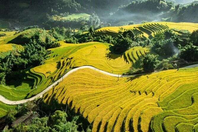 Highland Harmony Villages, Views and Vietnamese Heritage - Final Thoughts: Who Is This Tour Perfect For?