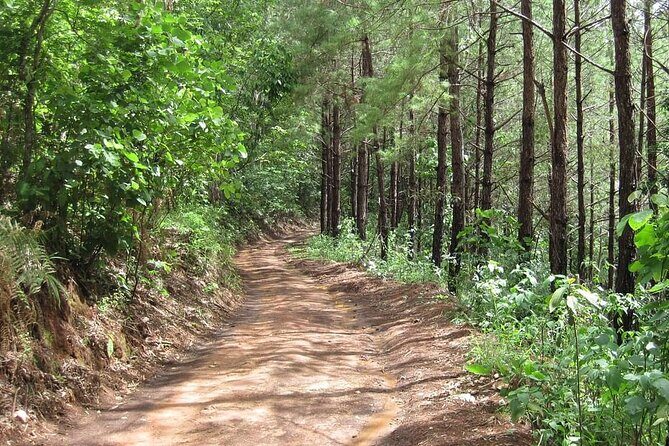 Highlanders Route Advanced Mountain Bike Tour in Chiang Mai - Pricing and Value