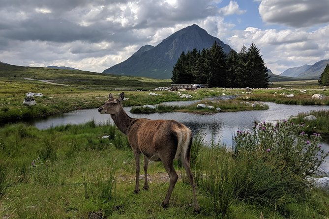 highlands-private-one-day-tour-of-scotland-3