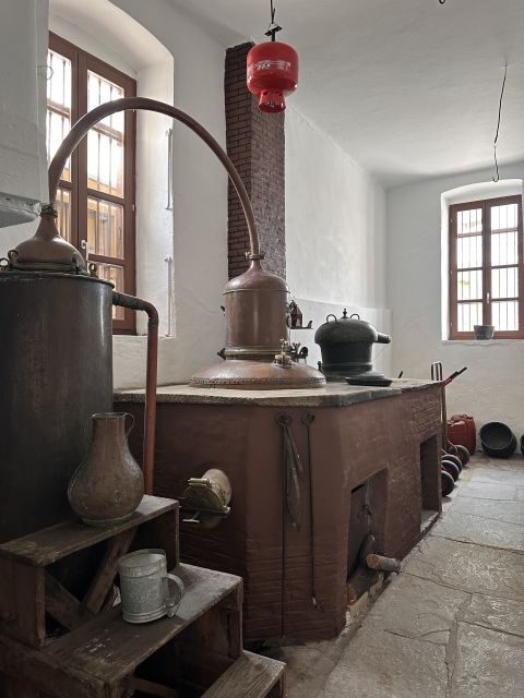 Highlight Tour With Olive Oil & Liquer Citron Tasting - Exploring Naxos: A Private Tour with Olive Oil & Citron Liqueur Tasting