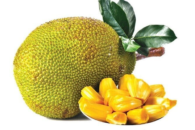 Highlights Colombo Day Tour with Afternoon High Tea in Kingsbury Hotel - Practical Tips for Making the Most of Your Day