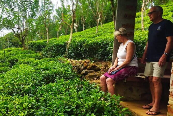 Highlights Colombo Day Tour with Afternoon High Tea in Kingsbury Hotel - FAQ