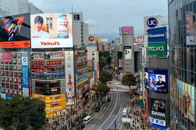 highlights-hidden-gems-of-the-shibuya-district-private-tour