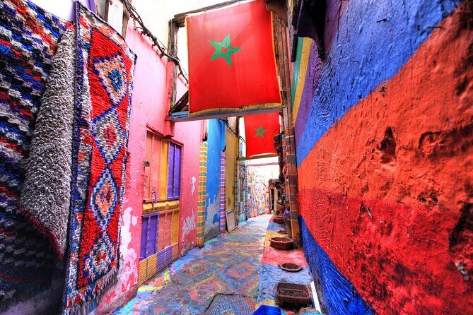 highlights marrakech and inside city tour 1/2 day + guide - Key Points