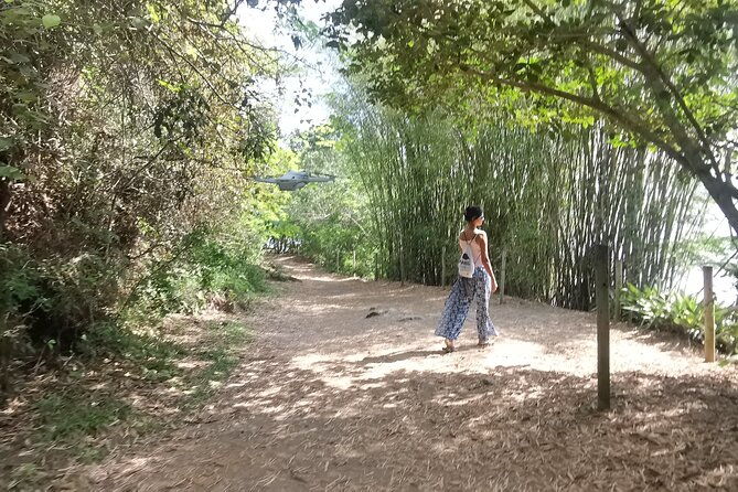 highlights-of-abraao-and-enseada-das-estrela-in-a-4-hour-tour