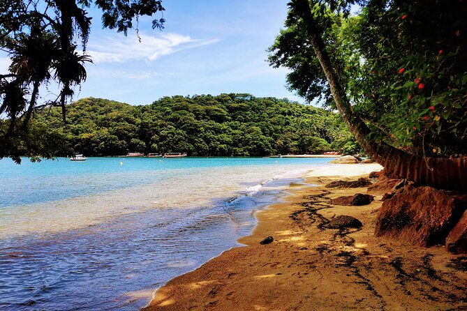 highlights-of-abraao-cove-on-a-half-day-hike-in-ilha-grande