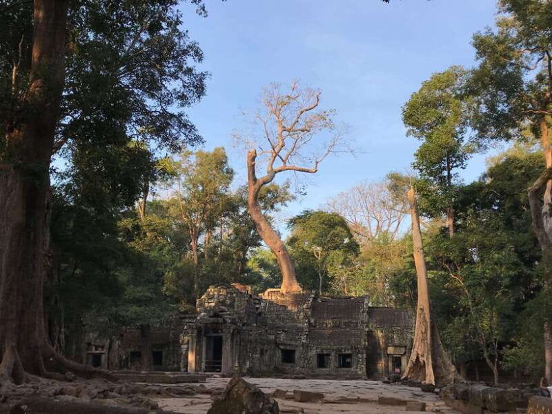 highlights-of-angkor-wat-ta-prohm-angkor-thom