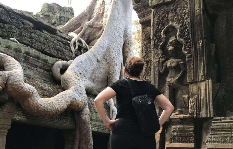 highlights-of-angkor-wat-ta-prohm-angkor-thom