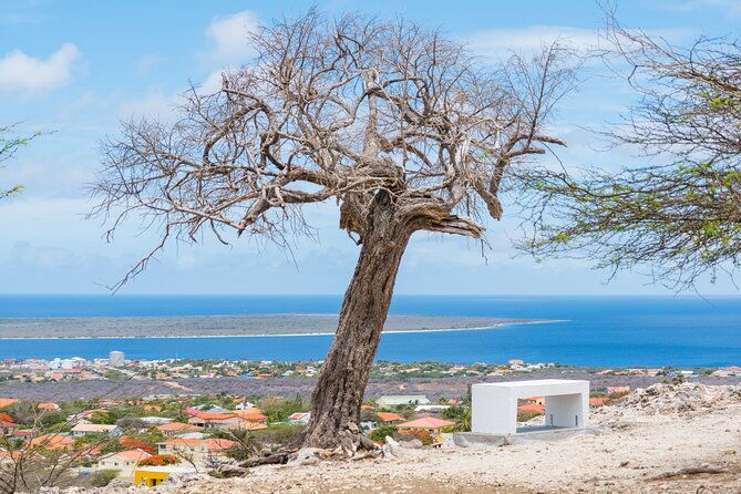 highlights-of-bonaire-cultural-experience