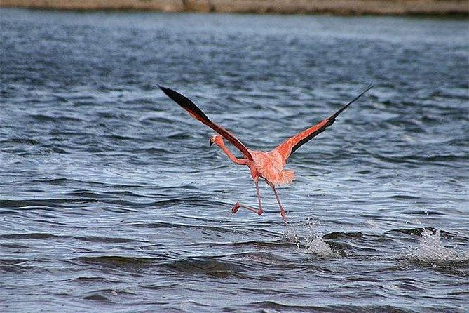 highlights-of-bonaire