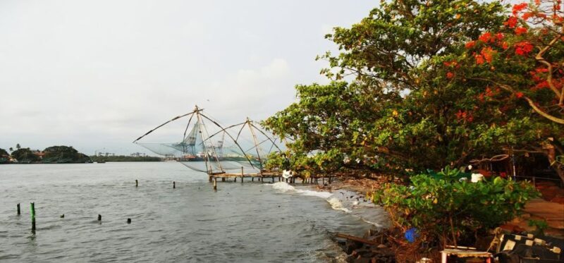 Highlights of Cochin: Group Tour from Cochin Port - A Detailed Look at the Cochin Group Tour