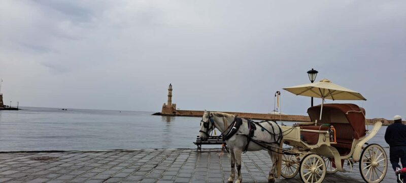 Highlights of Crete-Tour to Knossos Lasithi Rethymno&Chania - Who Will Love This Tour?