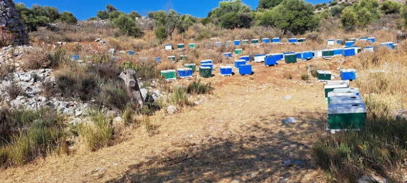 Highlights of Crete-Tour to Knossos Lasithi Rethymno&Chania - Final Thoughts